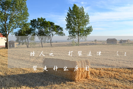 情人之間打架法律責(zé)任(情人之間打架是什么原因)