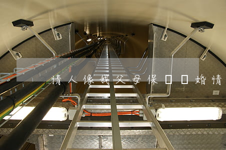 情人像我父母保證離婚(情人總是要見我父母)