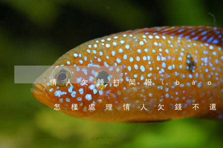 情人欠錢打架報(bào)警會(huì)怎樣處理(情人欠錢不還怎么辦最有效的方法)