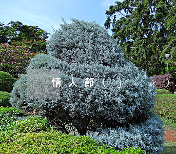 情人節(jié)開房