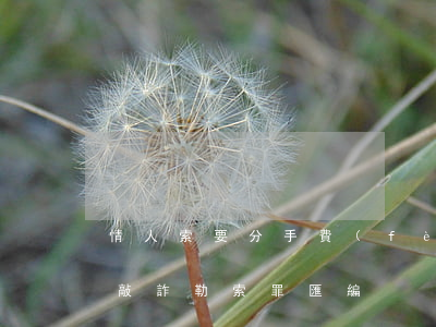 情人索要分手費(fèi)構(gòu)成敲詐勒索罪匯編！