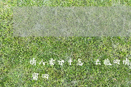 情人要分手怎樣去挽回(情人要分手怎么能挽留回來)