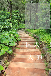 情人離婚要給前夫錢(qián)(老公給情人的錢(qián)可以要回來(lái)嗎)