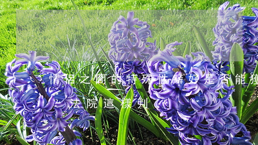 情侶之間的特殊性癖好是否能獲得精神補償？法院這樣判！