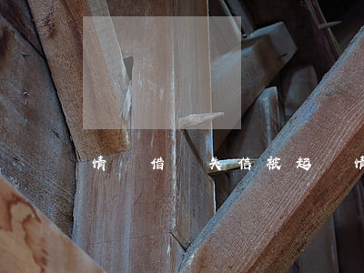 情侶借錢失信被起訴(情侶借錢失信被起訴)