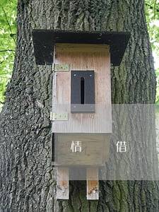 情侶借錢該不該起訴(情侶借錢可以告法院嗎)