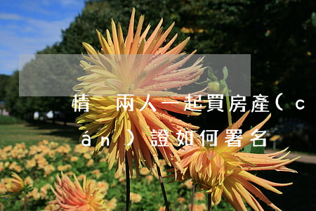 情侶兩人一起買房產(chǎn)權(quán)證如何署名