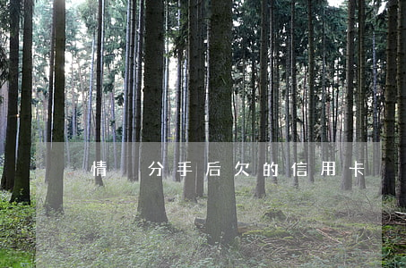 情侶分手后欠的信用卡