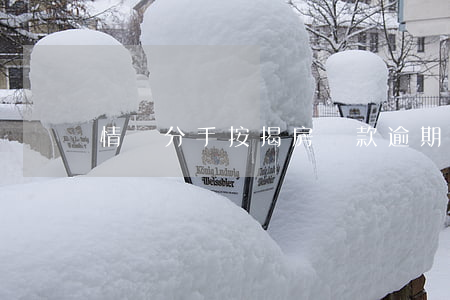 情侶分手按揭房貸款逾期