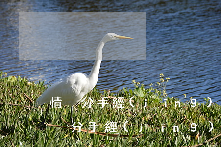 情侶分手經(jīng)濟糾紛如何解決，情侶分手經(jīng)濟糾紛如何解決 有借條
