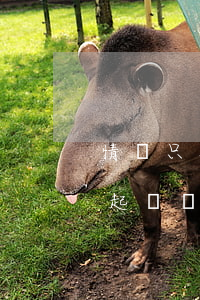 情侶只有微信轉(zhuǎn)賬記錄可以起訴嗎-情侶只有轉(zhuǎn)賬記錄能勝訴嗎
