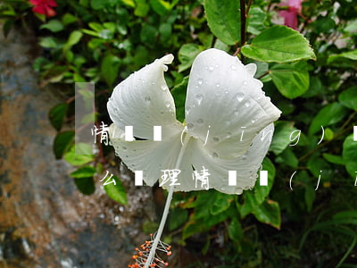 情侶經(jīng)濟(jì)糾紛案件怎么處理(情侶經(jīng)濟(jì)糾紛)