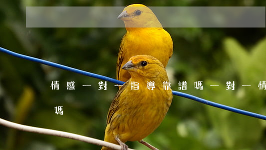 情感一對一指導靠譜嗎(一對一情感指導有用嗎)