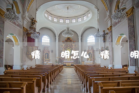 情況說明怎么寫(情況說明怎么寫格式范文)