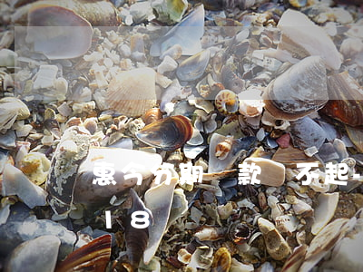 惠今分期貸款還不起-惠分期倒閉了嗎2018