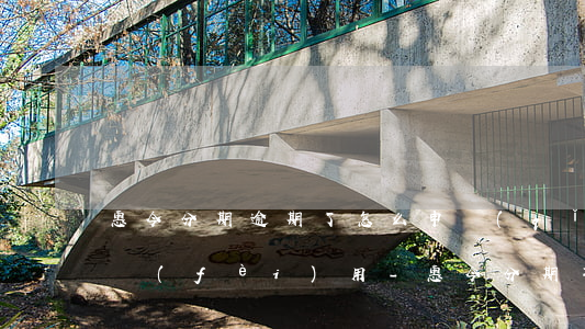 惠今分期逾期了怎么申請(qǐng)減免費(fèi)用-惠今分期不還會(huì)怎么樣