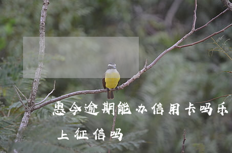 惠今逾期能办信用卡吗(乐惠金卡逾期一天会上征信吗)