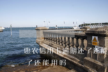 惠农信用卡逾期还了还能透支吗(逾期的卡还了还能用吗)