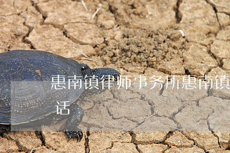 惠南镇律师事务所(惠南镇律师事务所地址电话)