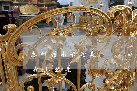惠州信用卡逾期債務(wù)優(yōu)化怎么收費