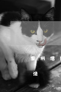 惠州信用卡逾期處理(惠州信用卡逾期處理辦法)