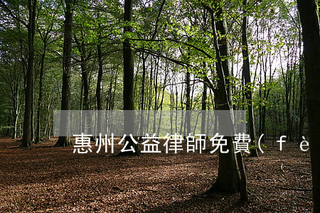 惠州公益律師免費(fèi)法律援助