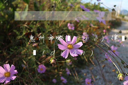 惠州市哪個(gè)律師事務(wù)所好點(diǎn)?