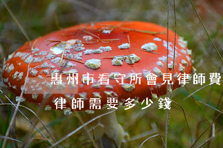 惠州市看守所會見律師費怎么算(在惠州請個律師需要多少錢)