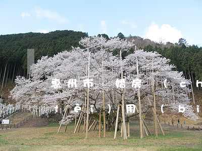 惠州市離婚房產(chǎn)分割律師費(fèi)用標(biāo)準(zhǔn)(離婚房產(chǎn)分割案律師如何收費(fèi))