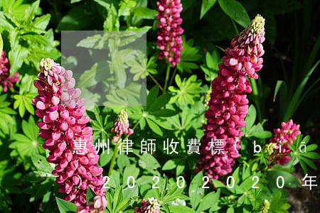 惠州律師收費標(biāo)準(zhǔn)2020(2020年律師收費標(biāo)準(zhǔn)政策依據(jù))