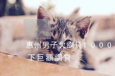 惠州男子欠網貸1000000元-男子欠下巨額網貸