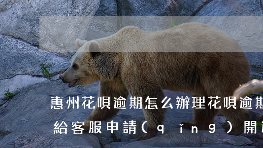 惠州花唄逾期怎么辦理(花唄逾期可以打電話給客服申請(qǐng)開通嗎)