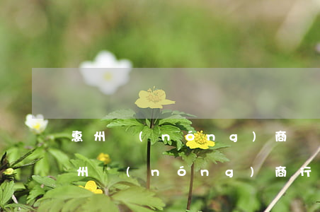惠州農(nóng)商銀行信用卡app（惠州農(nóng)商行信用卡利息）
