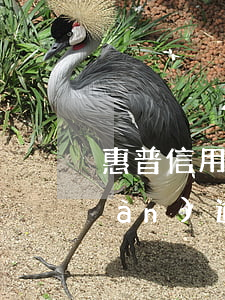 惠普信用卡逾期20天后果(信用卡2萬(wàn)逾期多久會(huì)被起訴)