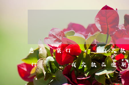 惠普錢袋打電話說我欠款已逾期-惠普錢袋打電話說我欠款已逾期是真的嗎