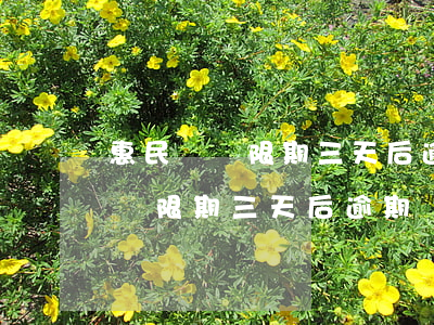 惠民貸寬限期三天后逾期無法再貸-惠民貸寬限期三天后逾期無法再貸怎么辦