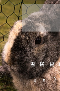 惠民貸的逾期多久起訴(惠民貸款逾期嚴(yán)重嗎)