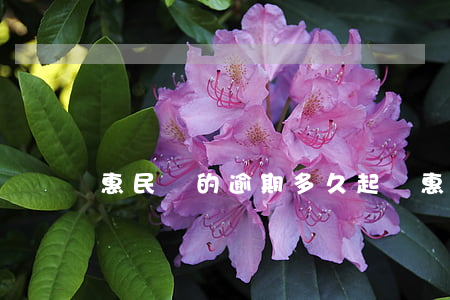 惠民貸的逾期多久起訴(惠民貸款逾期嚴重嗎)