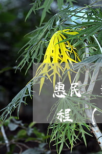 惠民貸逾期3個(gè)月后續(xù)流程會(huì)咋樣(惠民貸逾期3個(gè)月后續(xù)流程會(huì)咋樣)