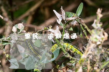 惠民貸逾期爆通訊錄嗎-惠民貸逾期會上門嗎?