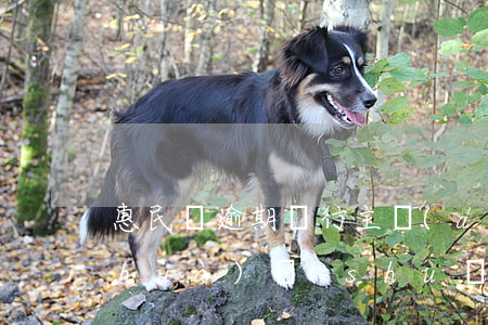 惠民貸逾期銀行主動(dòng)打電話(huà)說(shuō)協(xié)商-惠民貸逾期銀行主動(dòng)打電話(huà)說(shuō)協(xié)商還款