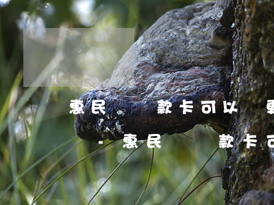 惠民貸還款卡可以變更成二類(lèi)卡嗎-惠民貸還款卡可以變更成二類(lèi)卡嗎安全嗎