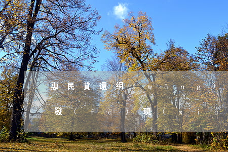 惠民貸還網(wǎng)貸會(huì)被發(fā)現(xiàn)嗎-想借個(gè)大額貸款把網(wǎng)貸清了