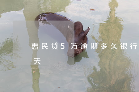 惠民贷5万逾期多久银行起诉(惠民贷逾期5天)