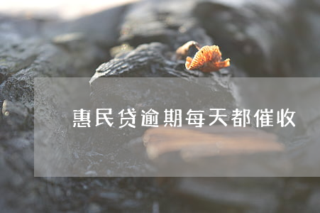 惠民贷逾期每天都催收