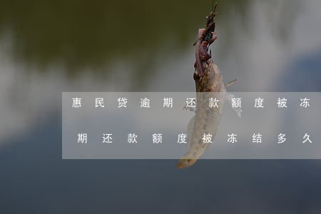 惠民贷逾期还款额度被冻结多久-惠民贷逾期还款额度被冻结多久恢复