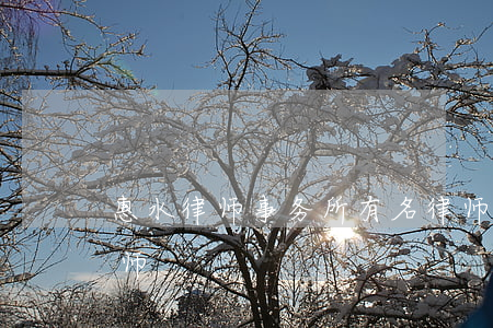 惠水律师事务所有名律师(贵州惠水县最好律师)