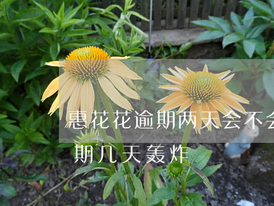 惠花花逾期两天会不会爆通讯录-惠花钱逾期几天轰炸