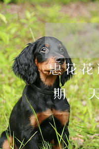 惠花花逾期兩天會不會爆通訊錄-惠花錢逾期幾天轟炸