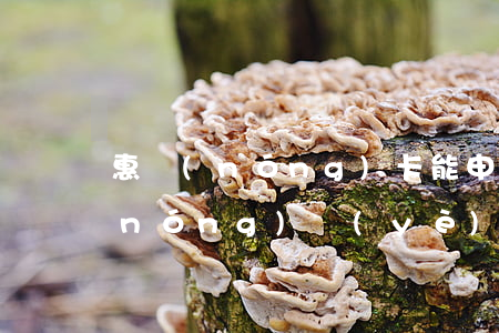 惠農(nóng)卡能申請停息掛賬嗎(農(nóng)業(yè)銀行可以停息掛賬嗎)